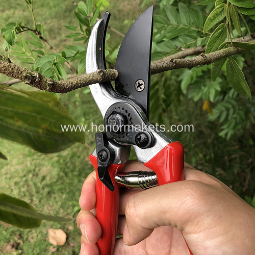 Color customized and Professional garden pruning shears horticultue hand pruner for cutting tree/flowers
